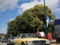 Oldtimer_zomergem-40