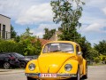 Oldtimer_Zomergem_2022-114